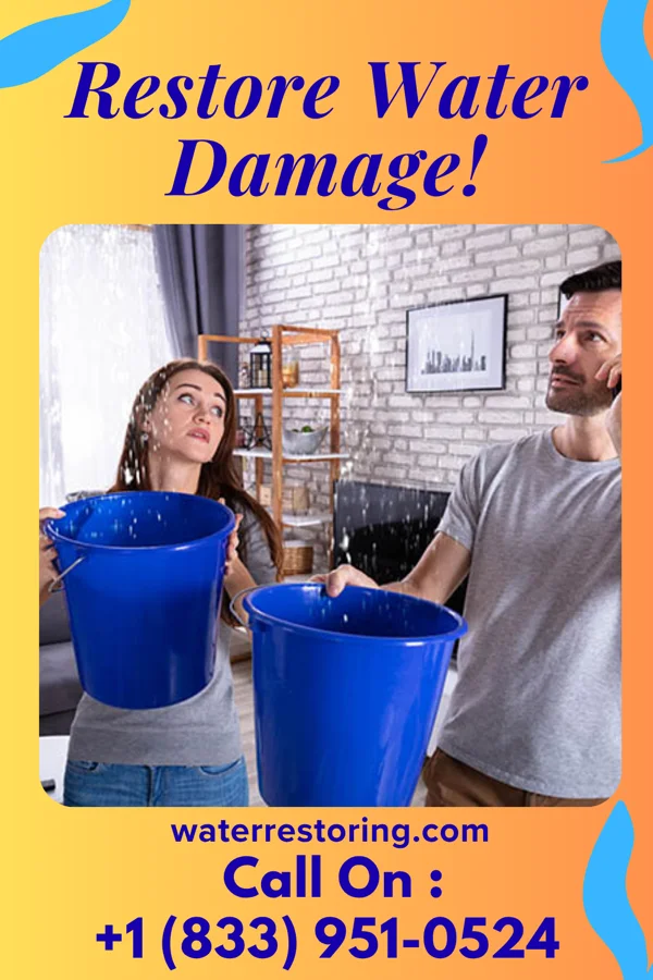 water restoration Pro Restoration Brothers Shannon City