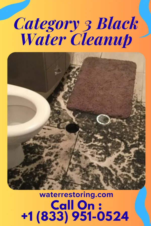 Category 3 Black Water Cleanup in Shannon City, IA