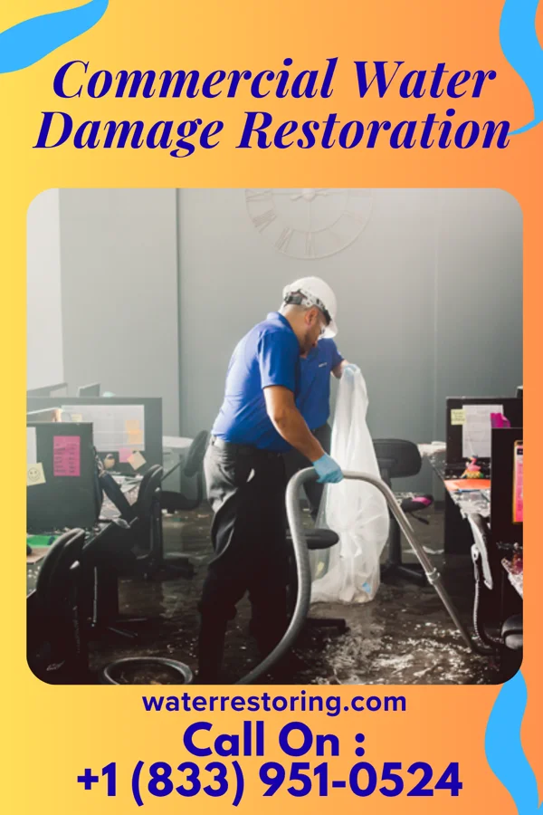 Commercial Water Damage Restoration in Shannon City, IA